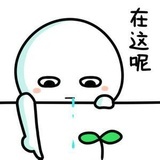 璐漫琪