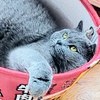 文字记忆